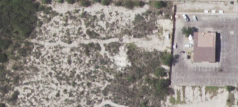 203 Wildcat Dr
