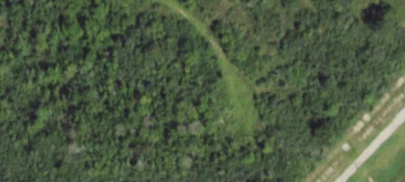 Beamer Rd
