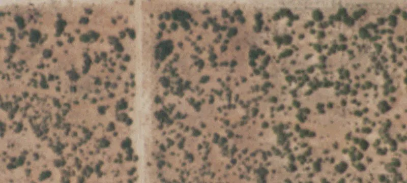 Erwin Ave