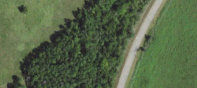 Webster, TX 77598