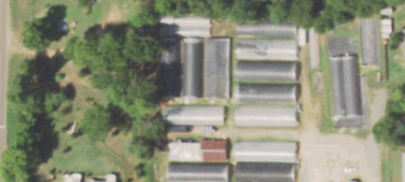 New Summerfield, TX 75780