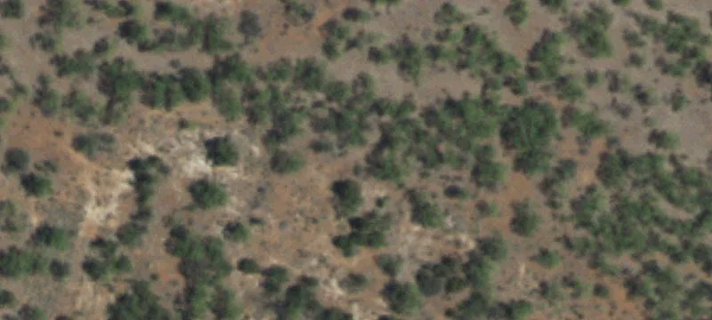 Sweetwater, TX 79556
