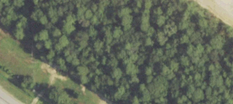 Fm 2100th Rd