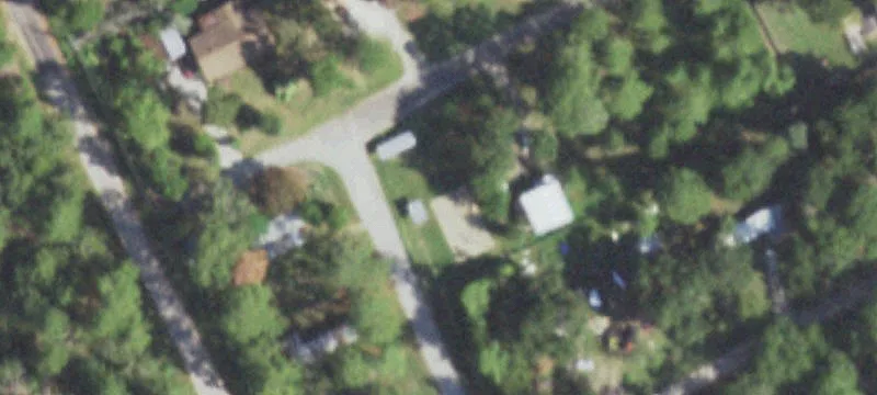 Wildflower Dr