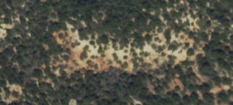 Snyder, TX 79549