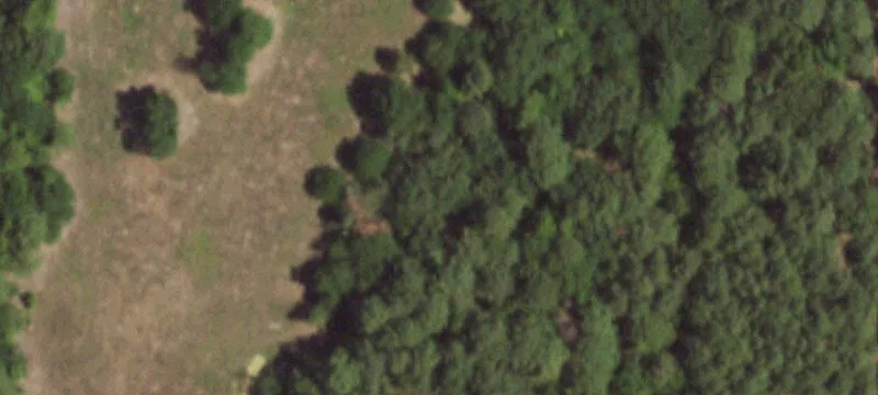 1320 Farm Rd 21