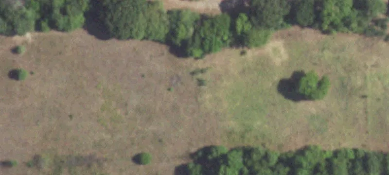 Ben Wheeler, TX 75754