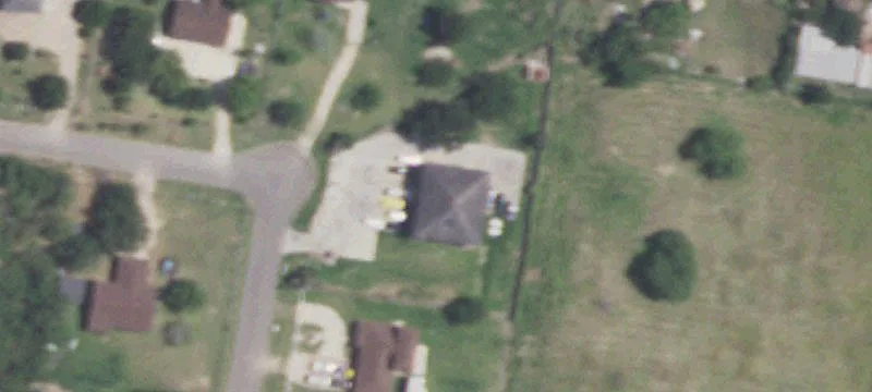 Palm Leaf Cir
