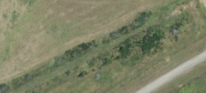Fm 1156, TX