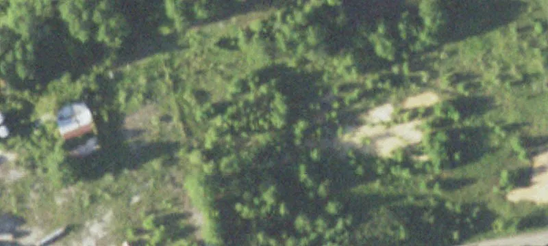 Joaquin, TX 75954