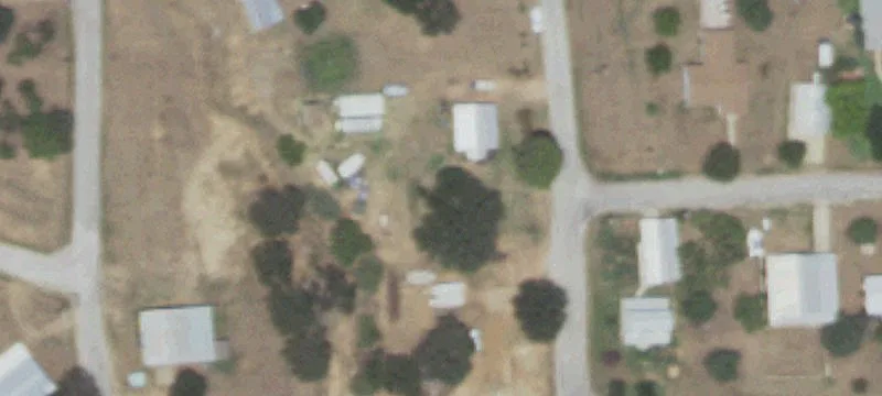 Buckwheat Dr