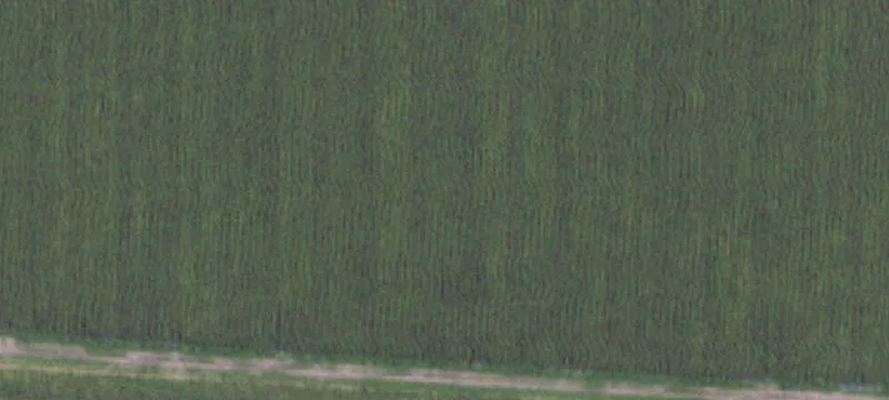 Hoening Rd
