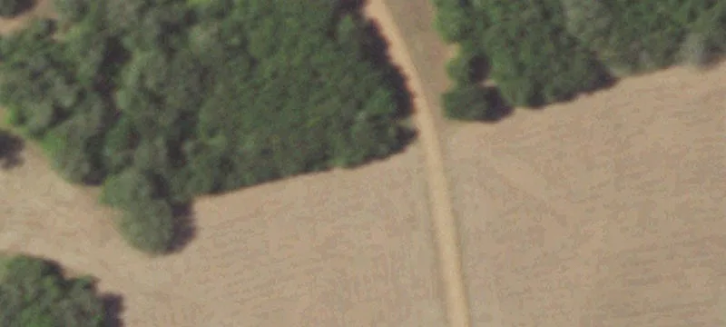 Hwy 290