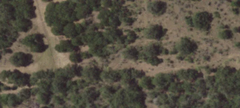 Fm 2438