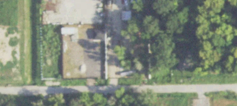 Albert Dr