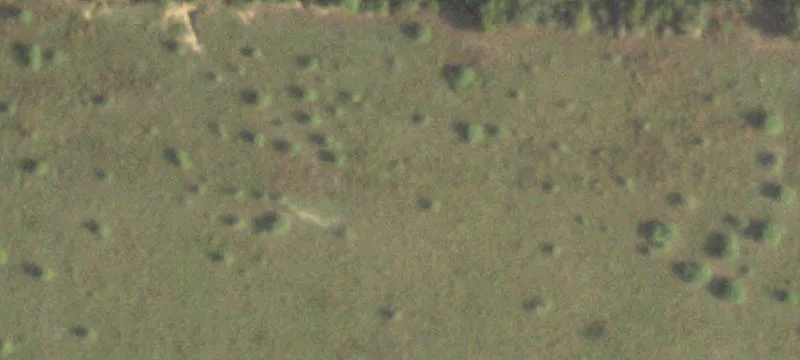 14029 Cochran Rd