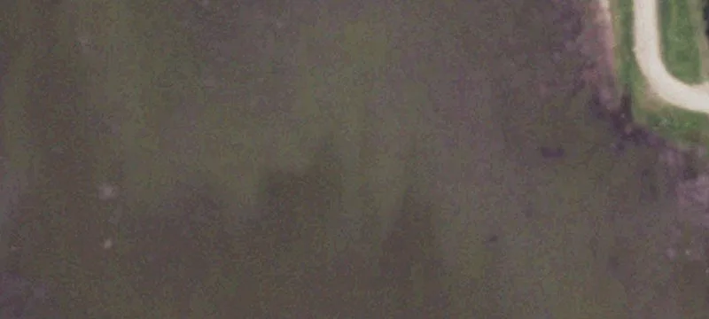 Lyford, TX 78569
