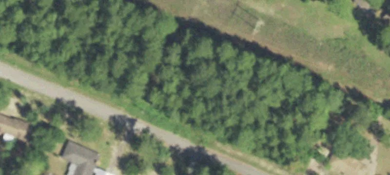 Oak Cir