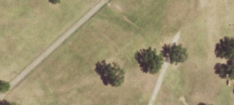 541 County Road 2630