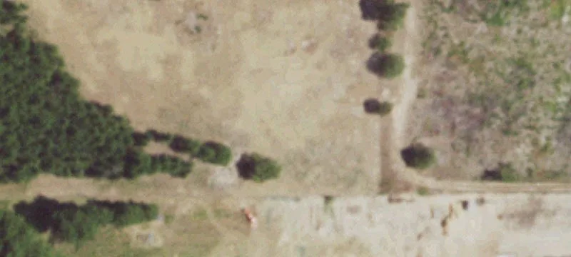 Scroggins, TX 75480