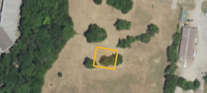 Farmersville, TX 75442