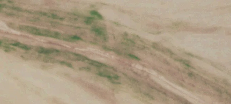 Hermleigh, TX 79526
