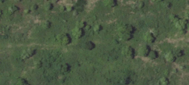 County Rd 431