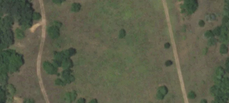 Ww Pt Loop