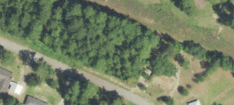 Oak Cir