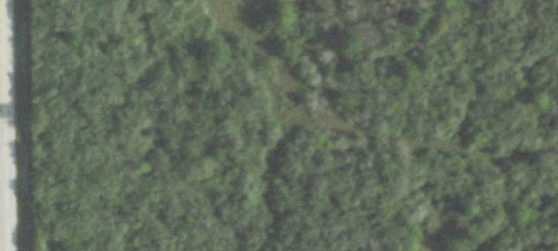 17448 Bauer Rd
