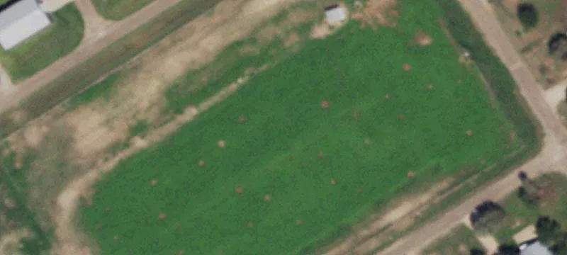 Hermleigh, TX 79526