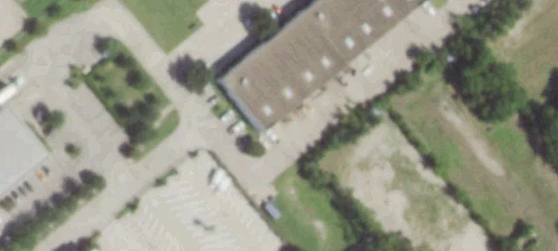 Live Oak St