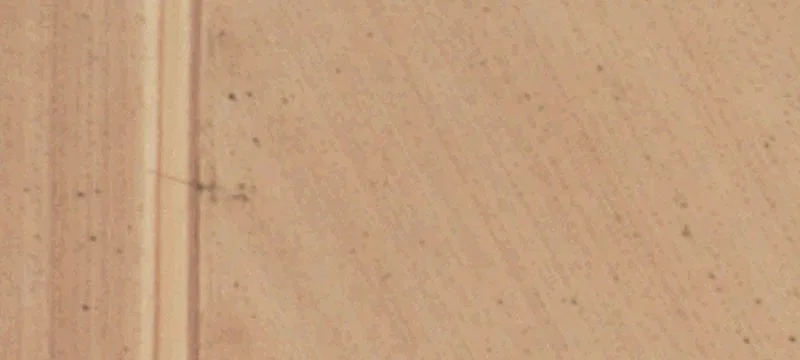Whitharral, TX 79380
