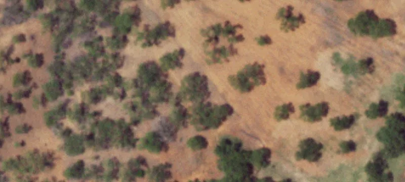 990 Private Rd 3599