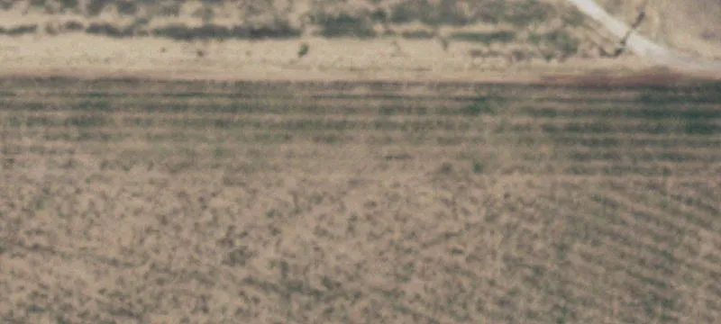 Levelland, TX 79336