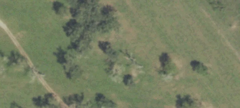 26222 Fm 1736th Rd