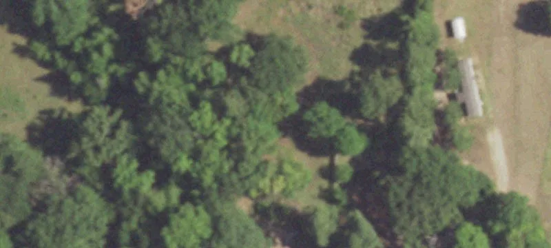 7161 Us Hwy 80
