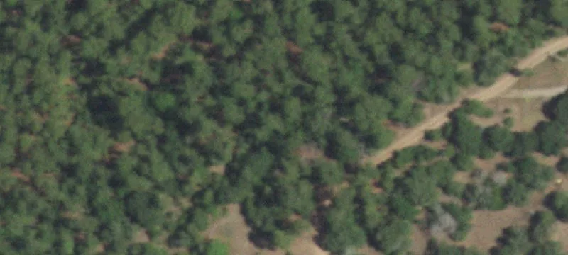 539 Deer Loop