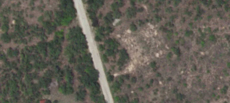 Christine, TX 78012