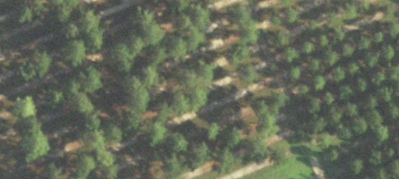 2363 Pr 8442
