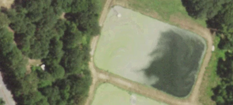 Bloomburg, TX 75556
