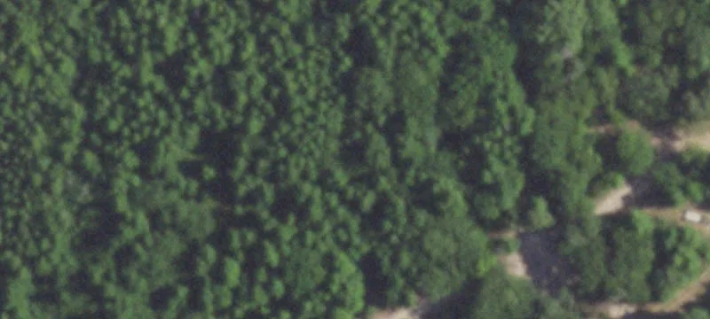Ben Wheeler, TX 75754