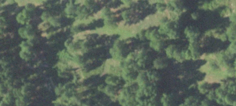 3203 Fm 139