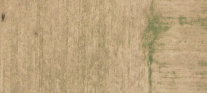 Show Barn