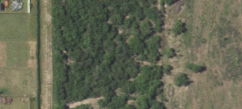 Ferguson Rd