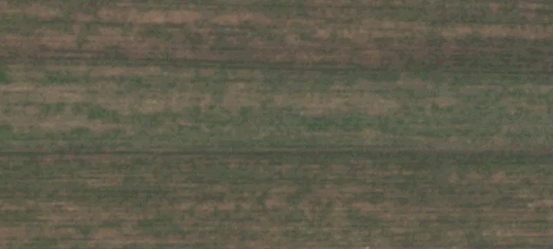 2697 Fm 1058