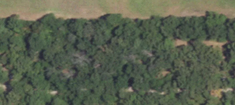 1054 County Rd 1950