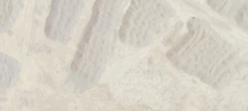 12994 Fm 1581