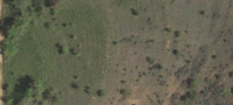Snyder, TX 79549