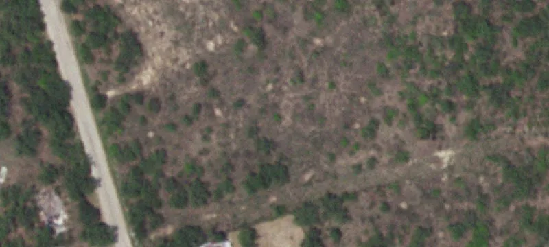 Christine, TX 78012